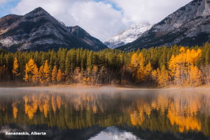 Alberta ya da hiçbir şey: Neden sert (ve vahşi) aşk 2026'nın yeni trendi?
