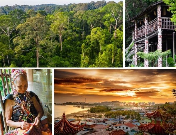 Borneo: Malezya'nın Vahşileştiği Yer