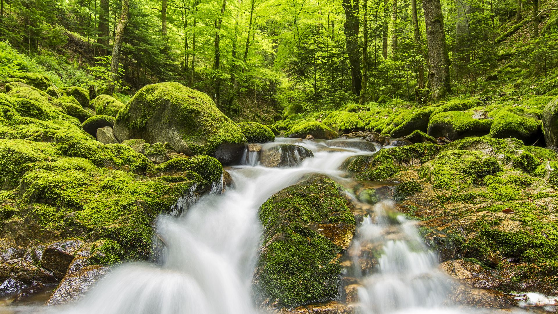 Geroldsauer Şelalesi - Baden-Baden (Baden-Württemberg)