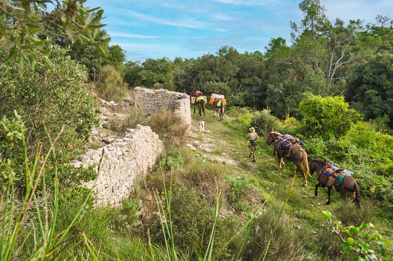 Méditerranée Porte des Maures: Var, iklime dayanıklılık ve katılım için "gösterişli" bir tavır sergiliyor